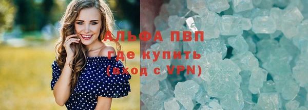 гидра Инта