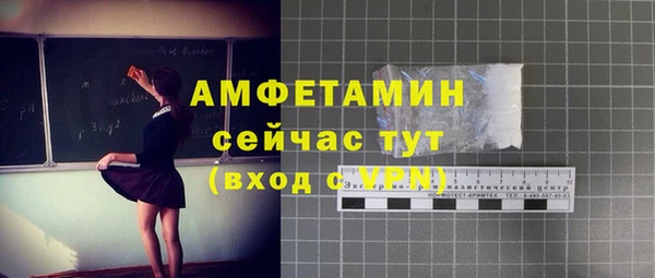 гидра Инта