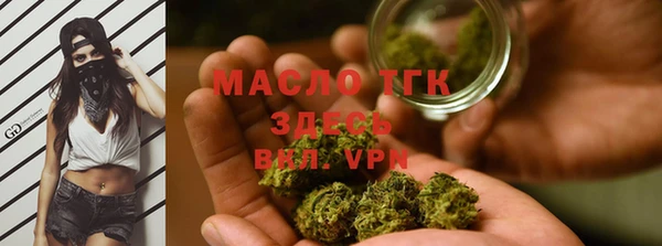 индика Каменск-Шахтинский