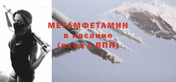 гидра Инта