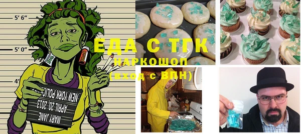 гидра Инта