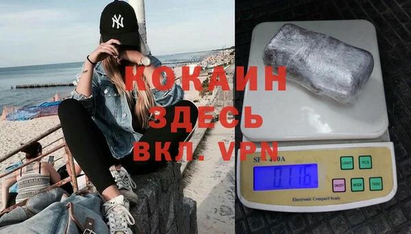 индика Каменск-Шахтинский