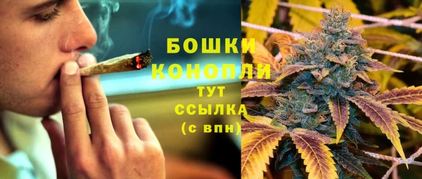 индика Каменск-Шахтинский