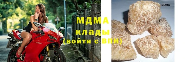 гидра Инта