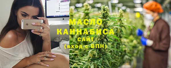 гидра Инта