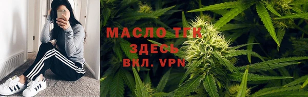 гидра Инта