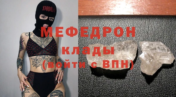 гидра Инта