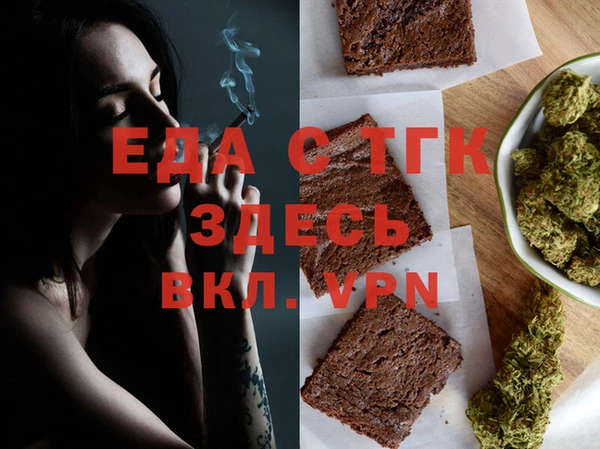 гидра Инта