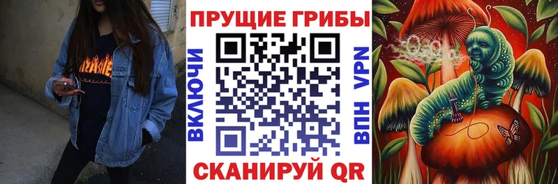 Купить  Северодвинск  Псилоцибиновые грибы GOLDEN TEACHER 
